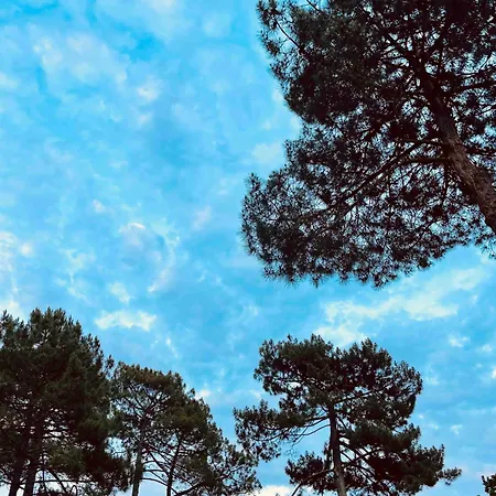Le Penon_maison Patio Seignosse